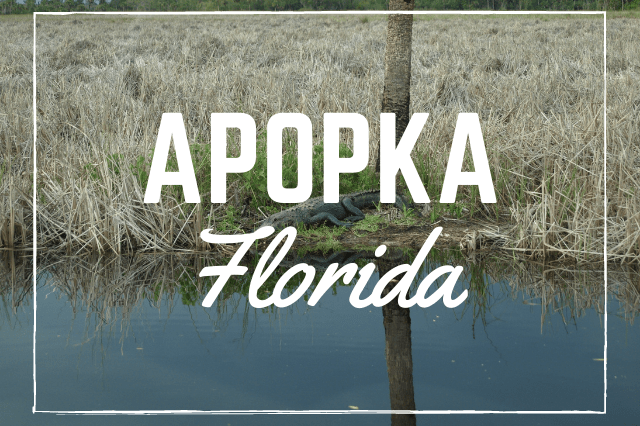 Apopka, Florida