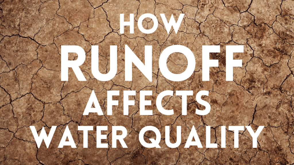 How Runoff Affects Water Quality