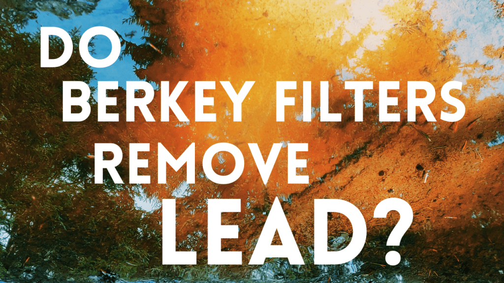 Do Berkey Filters Remove Lead