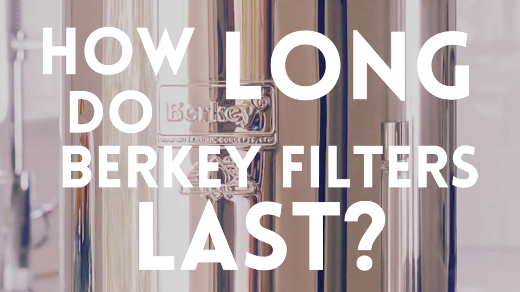 How Long Do Berkey Filters Last
