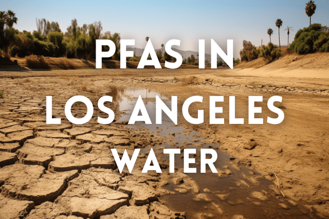 PFAS in Los Angeles Water